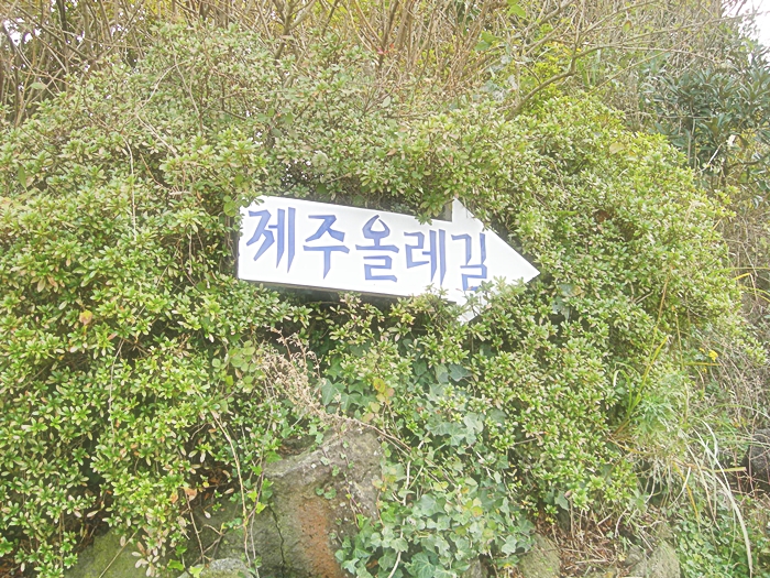 DSCN3075.JPG