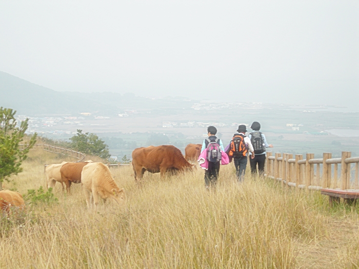 DSCN3092.JPG
