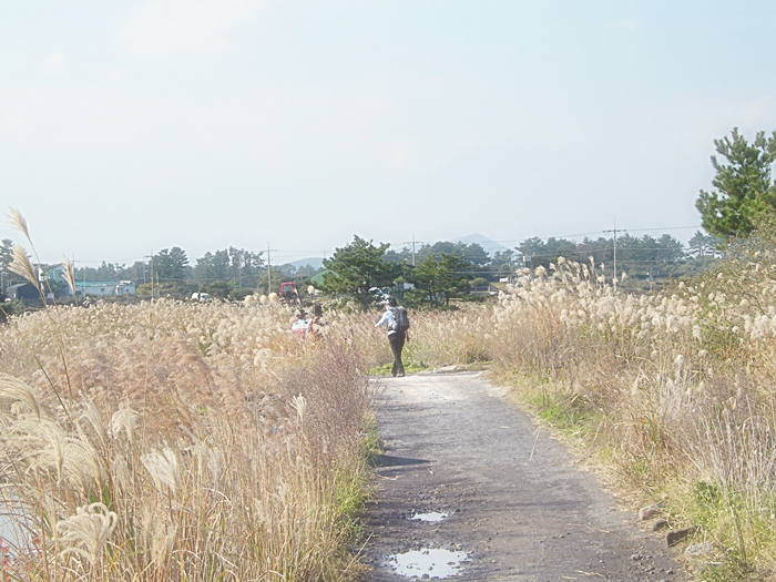 DSCN3234.JPG