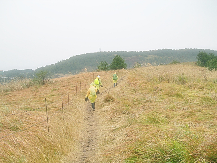 DSCN3279.JPG