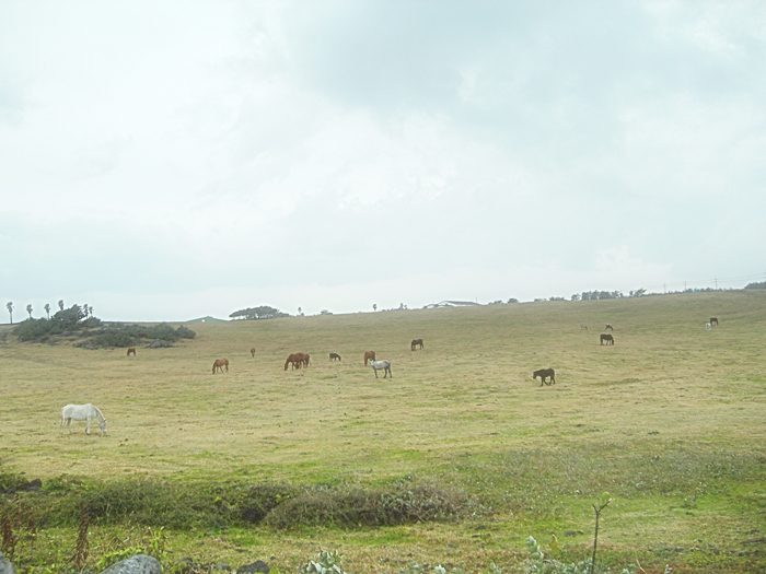 DSCN3303.JPG