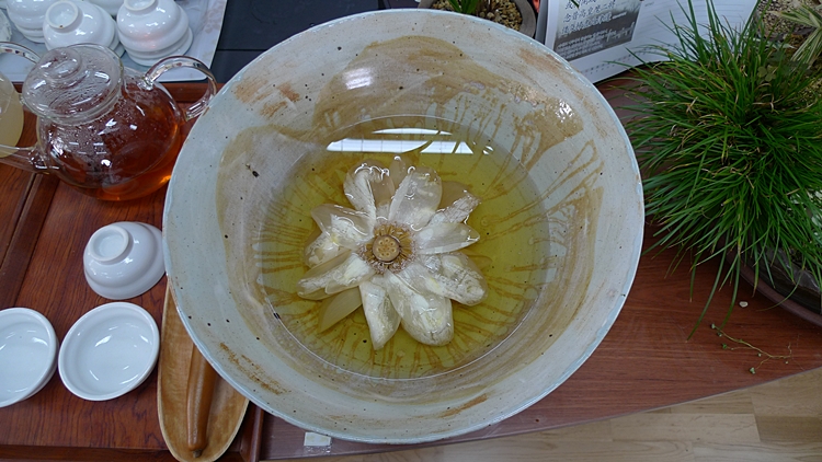inil-20100227-42.JPG