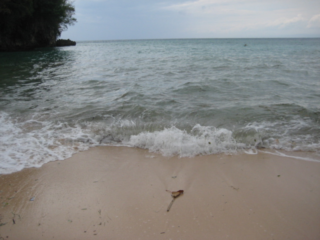 IMG_5632.JPG