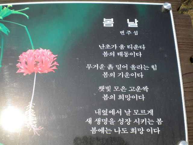DSCN2429.JPG