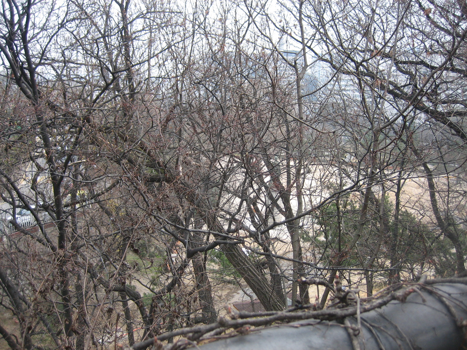 IMG_6561.JPG