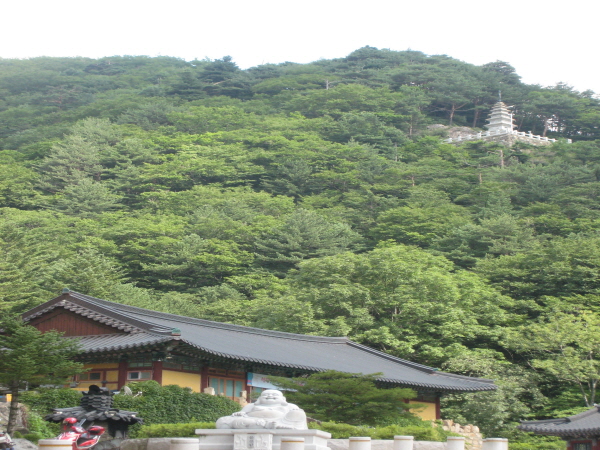 크기변환_IMG_6316.JPG