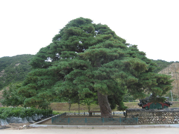 크기변환_IMG_6585.JPG