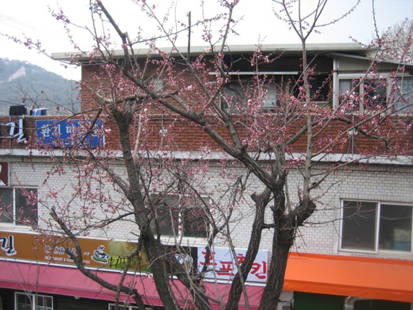 IMG_6572.JPG