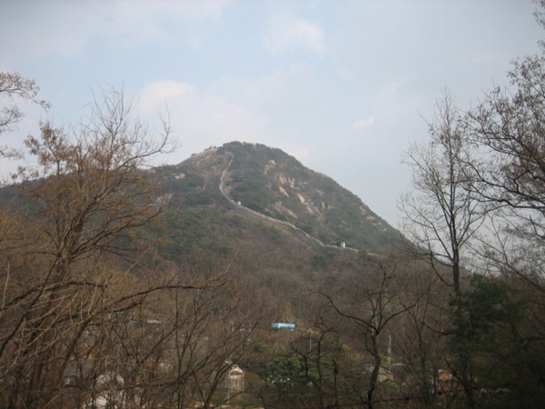 IMG_6575.JPG