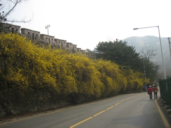 IMG_6584.JPG