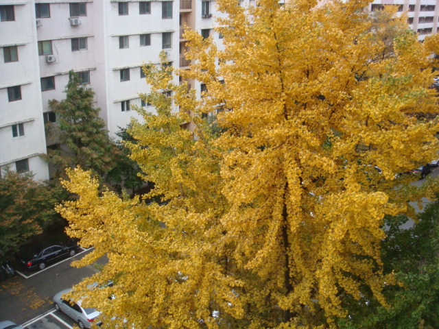 111106 018.jpg