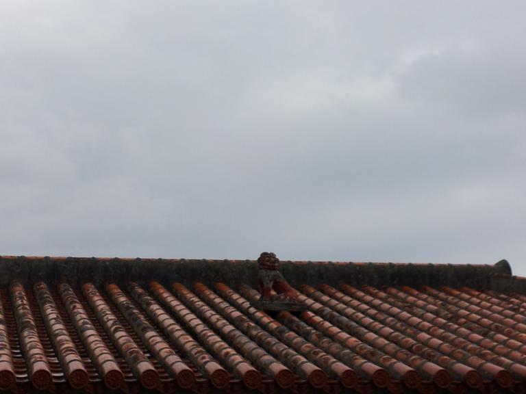20160120_142209.jpg