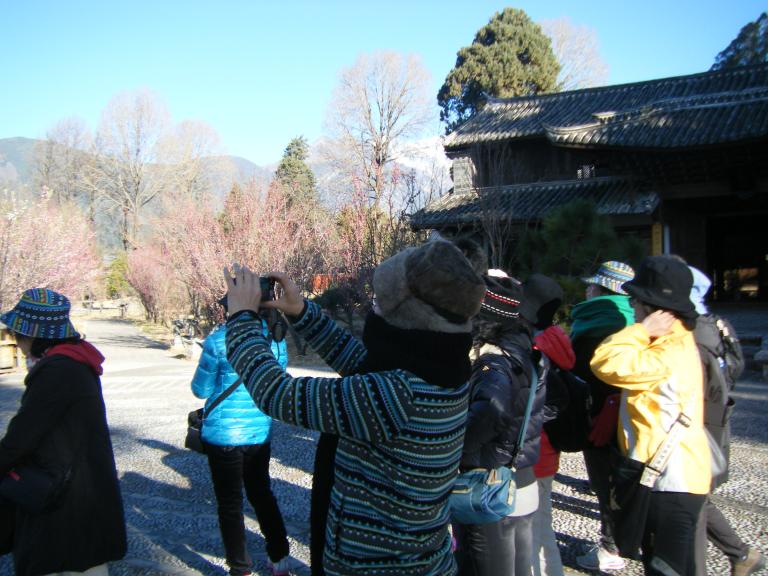 DSCF1409.JPG