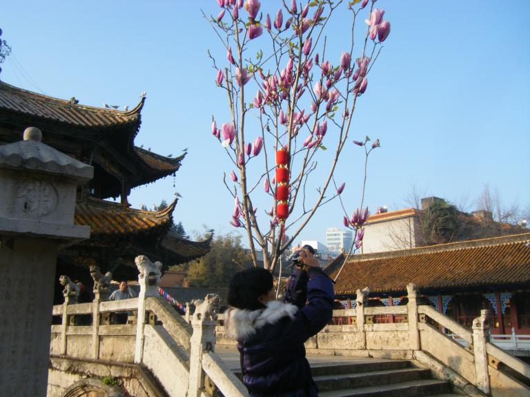 DSCF2100.JPG