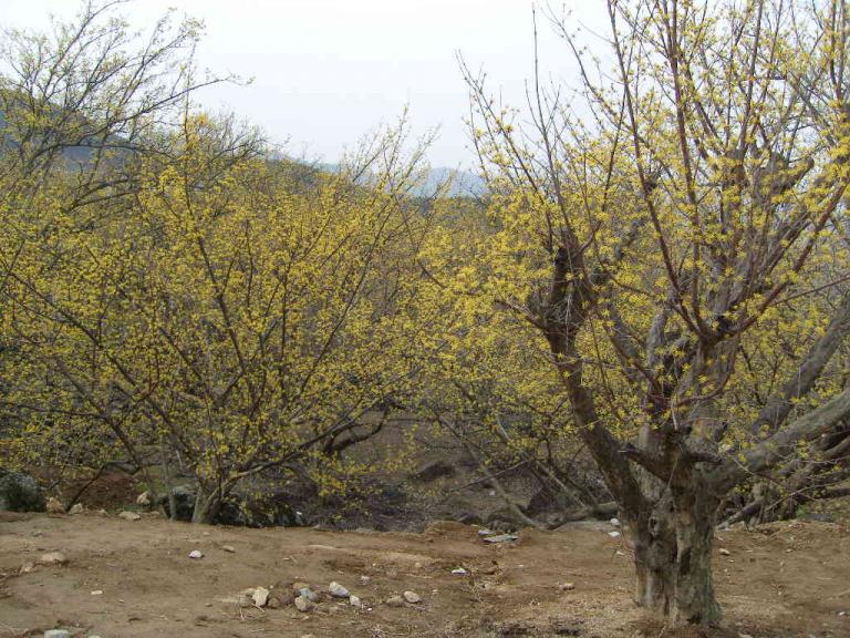 spring 001.jpg