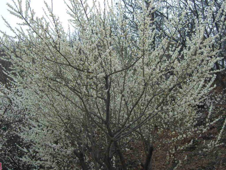 spring 003.jpg