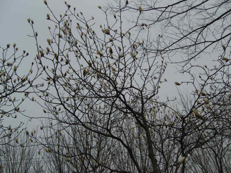spring 005.jpg