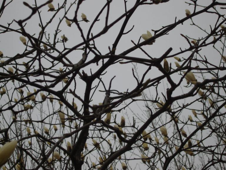 spring 006.jpg