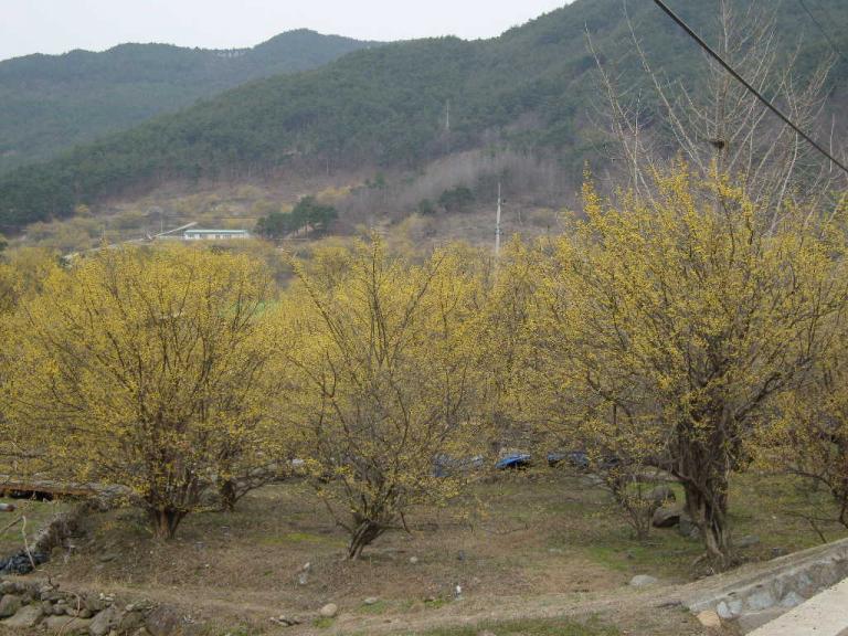 spring 008.jpg