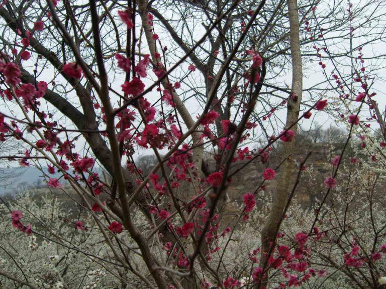 spring 025.jpg