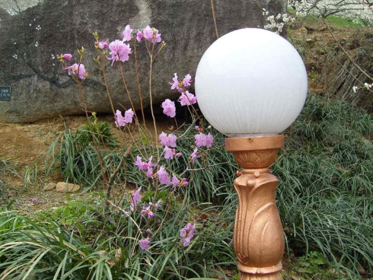 spring 022.jpg