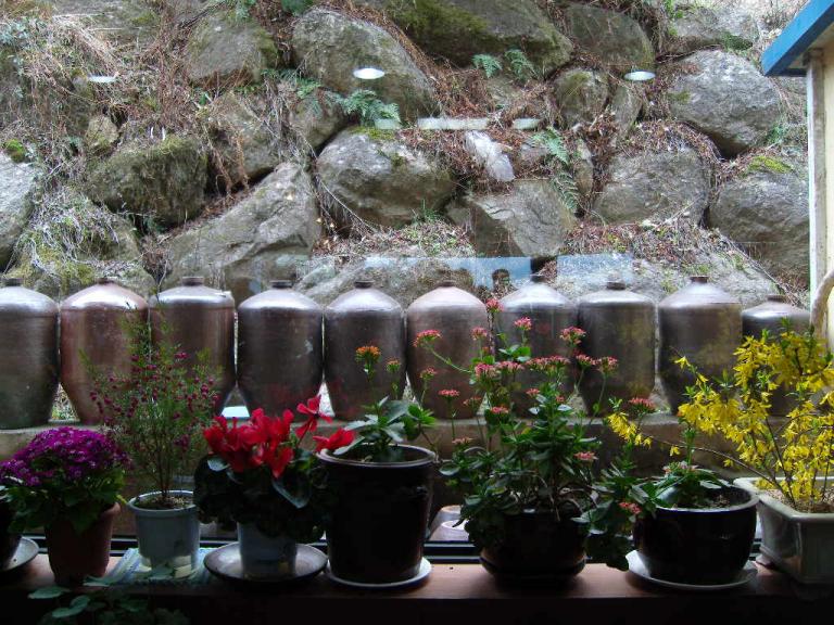 spring 027.jpg