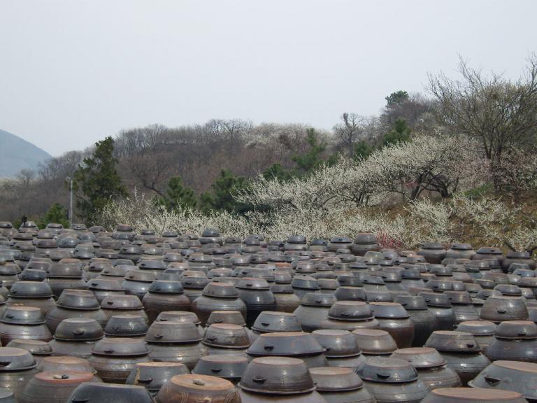 spring 029.jpg