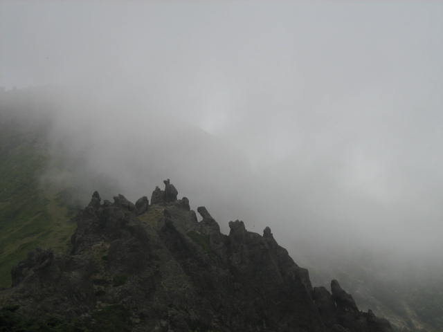 IMG_5514.JPG