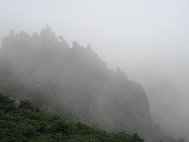 IMG_5517.JPG