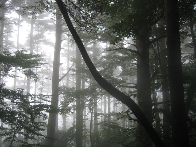 IMG_5540.JPG
