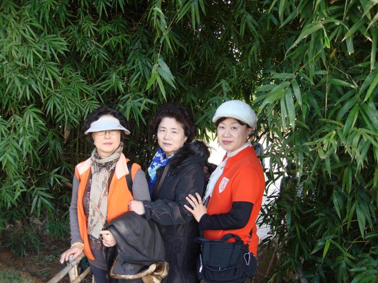 DSC01354.JPG