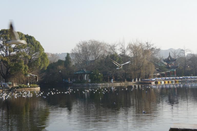 크기변환_DSC00376.JPG