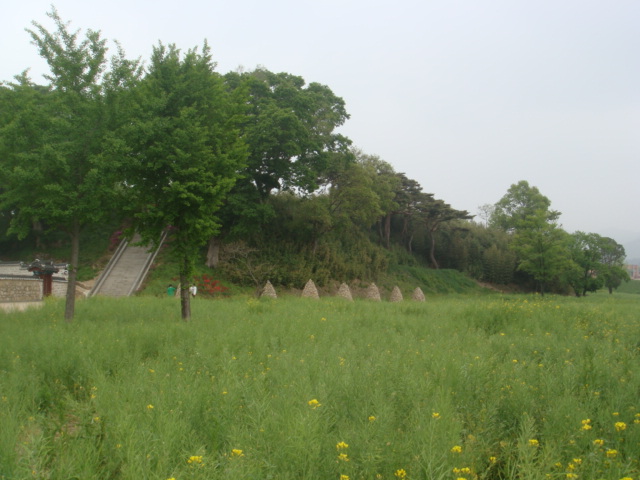 haemieupsung 009.jpg