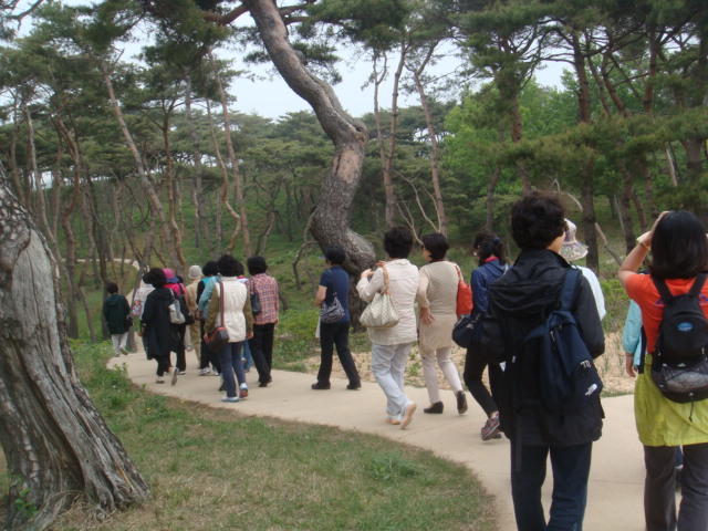 haemieupsung 015.jpg