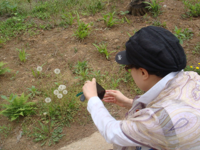 haemieupsung 018.jpg