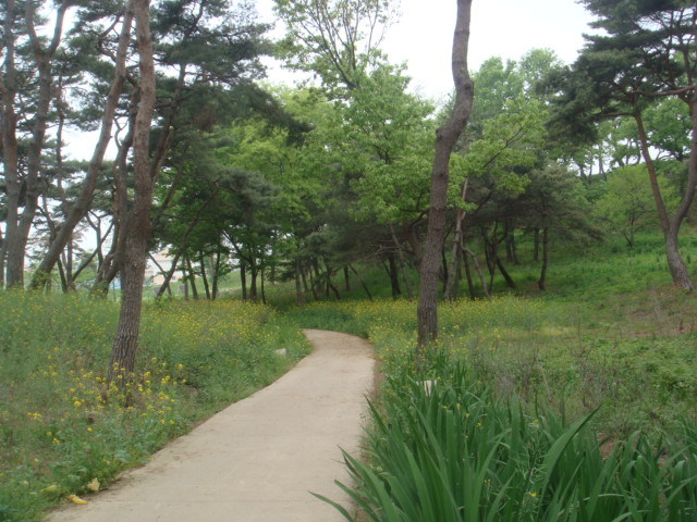 haemieupsung 019.jpg