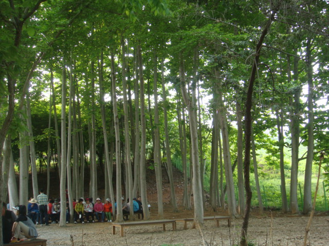 haemieupsung 042.jpg