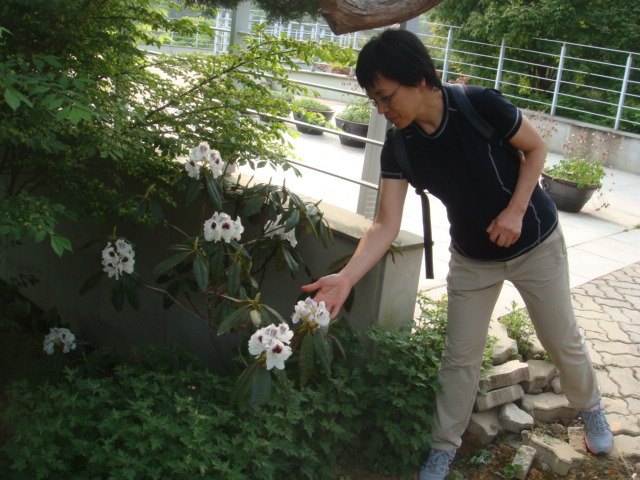 haemieupsung 047.jpg