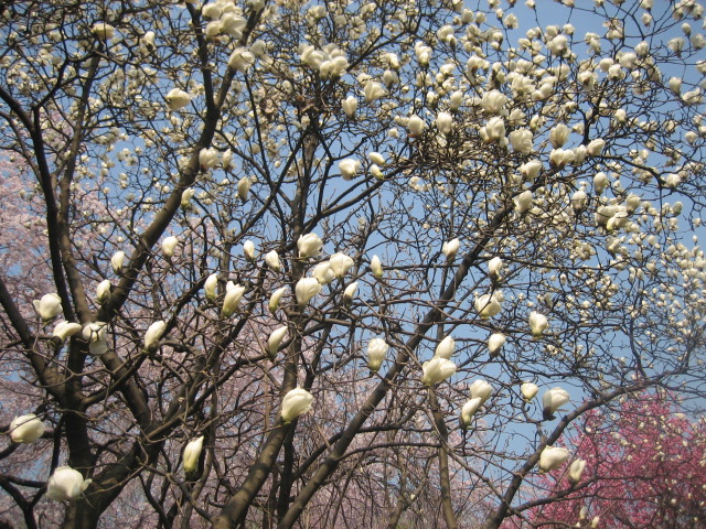 IMG_6606.JPG