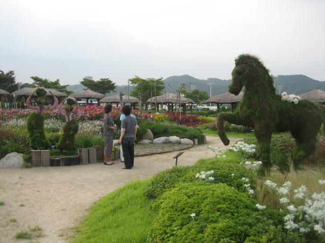 IMG_5637.JPG