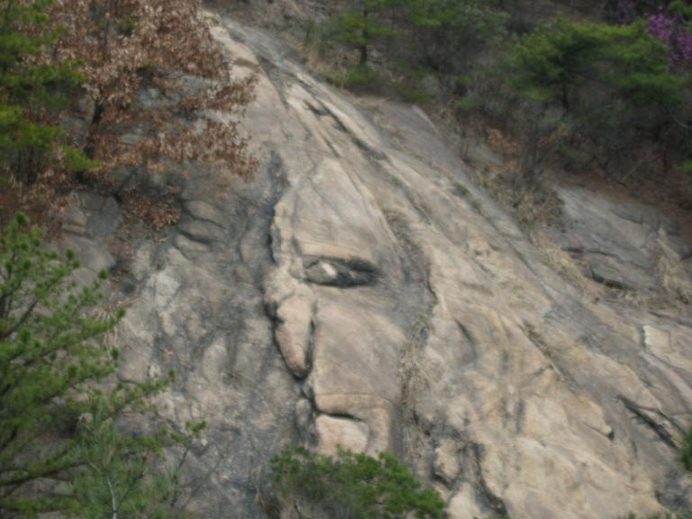 spring 009.jpg
