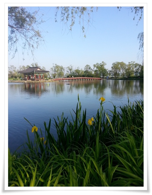 20130511_175911.jpg