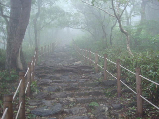 DSC04456.JPG