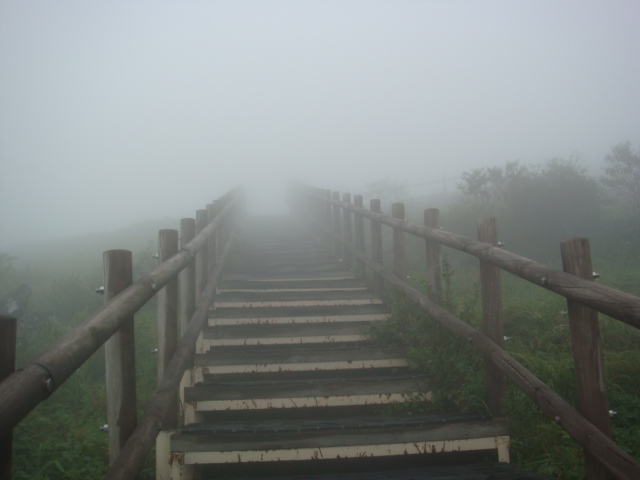 DSC04458.JPG