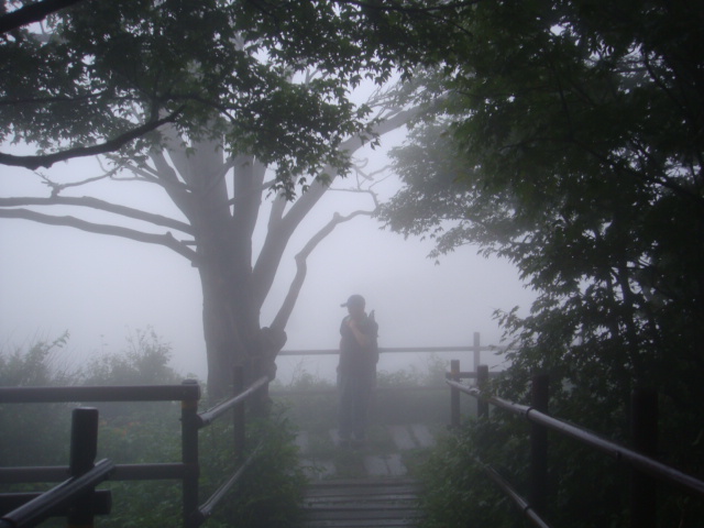DSC04479.JPG