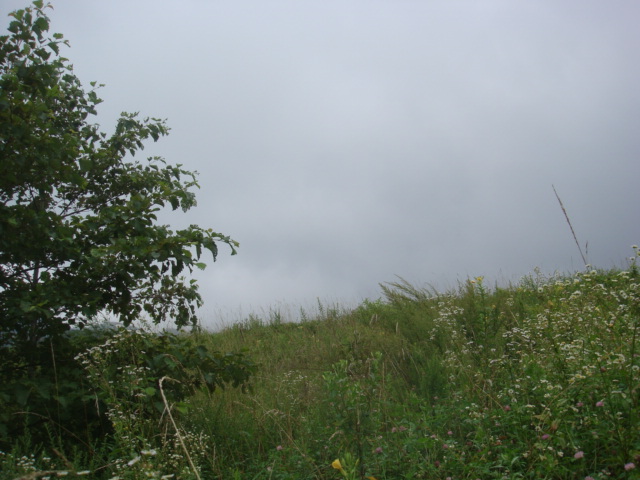 DSC04485.JPG