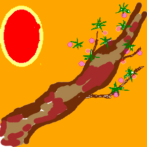 35.png