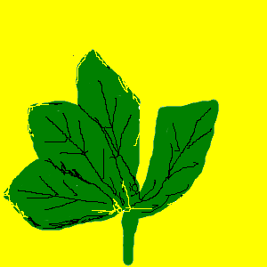 39.png