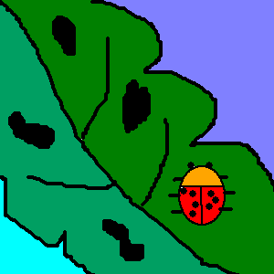 236.png