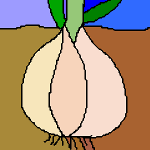 248.png